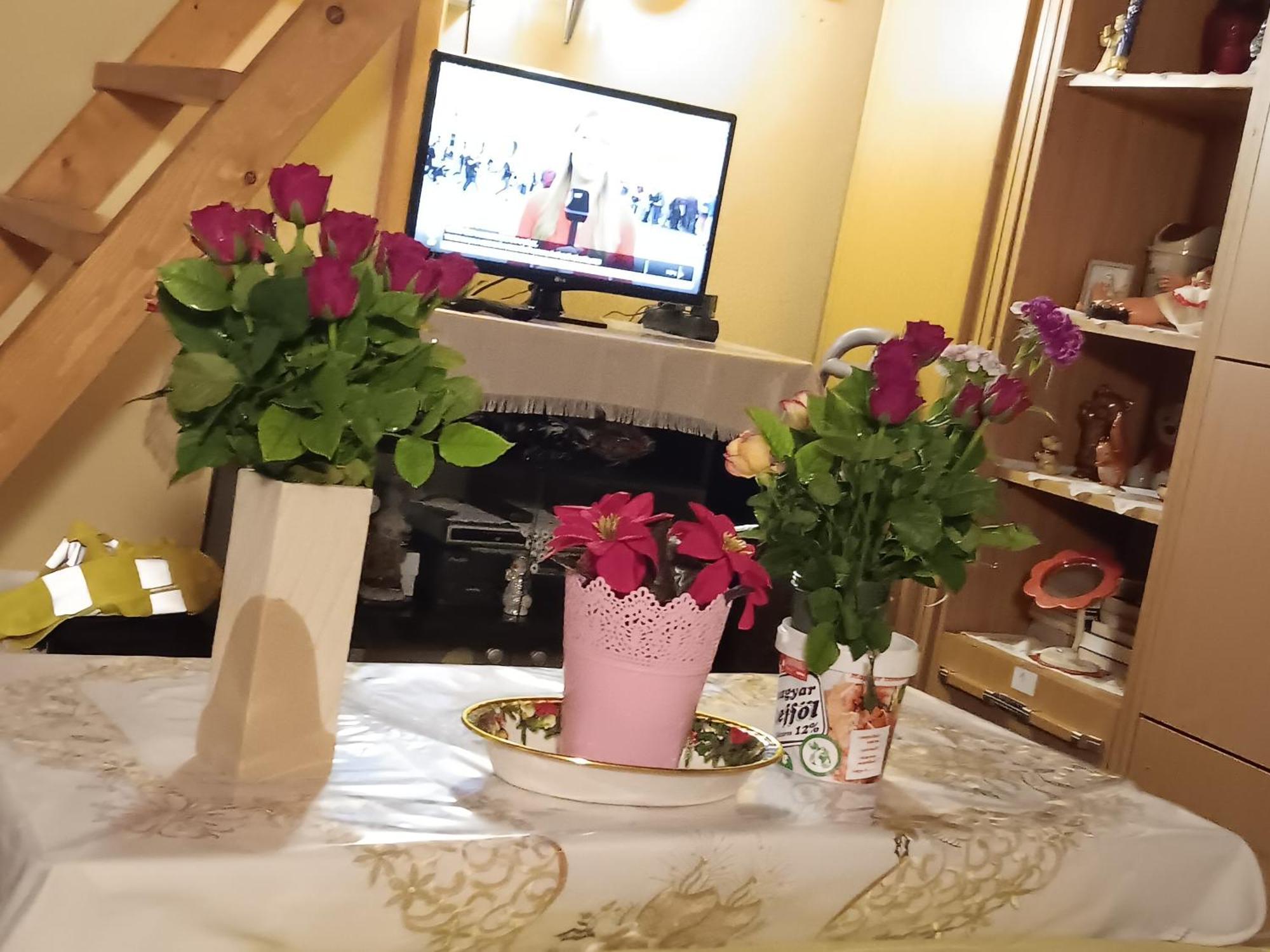 Budapest Central Apartment Homestay szállás